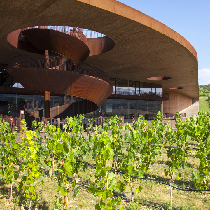 Antinori