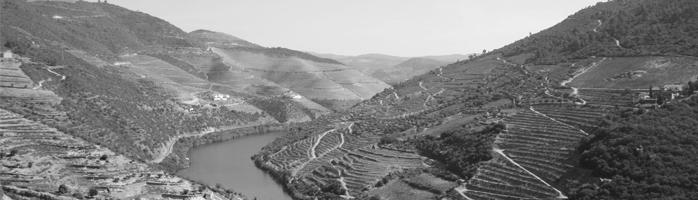 Quinta do Noval