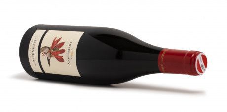 Esterházy Leithaberg Blaufrankisch