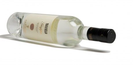 Antinori Grappa Tignanello